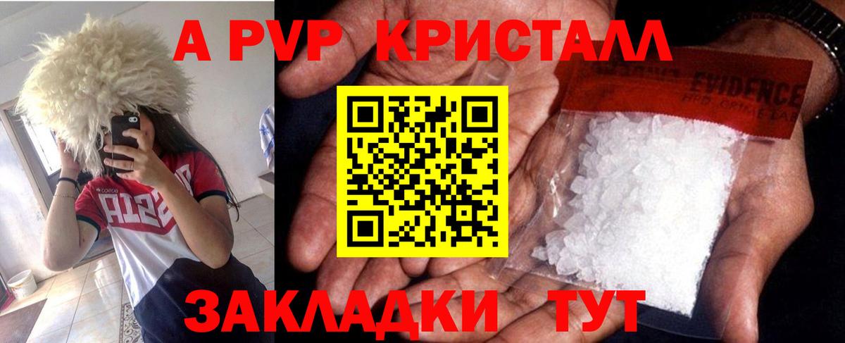 A PVP СК КРИС Кингисепп