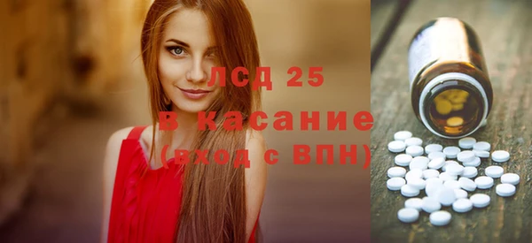 прущие грибы Новодвинск