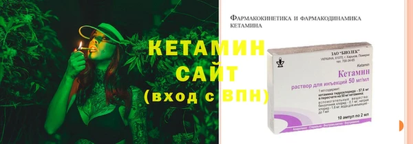 прущие грибы Новодвинск