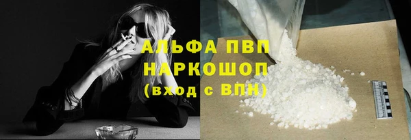 прущие грибы Новодвинск