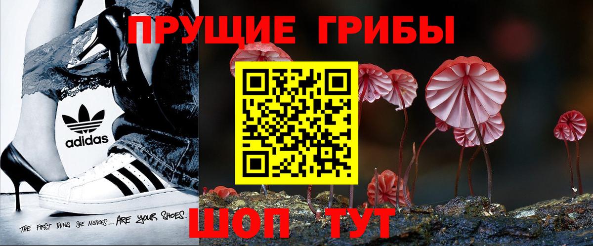 Галлюциногенные грибы Magic Shrooms Кингисепп