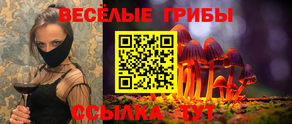 цена наркотик  Кингисепп  Псилоцибиновые грибы Cubensis 