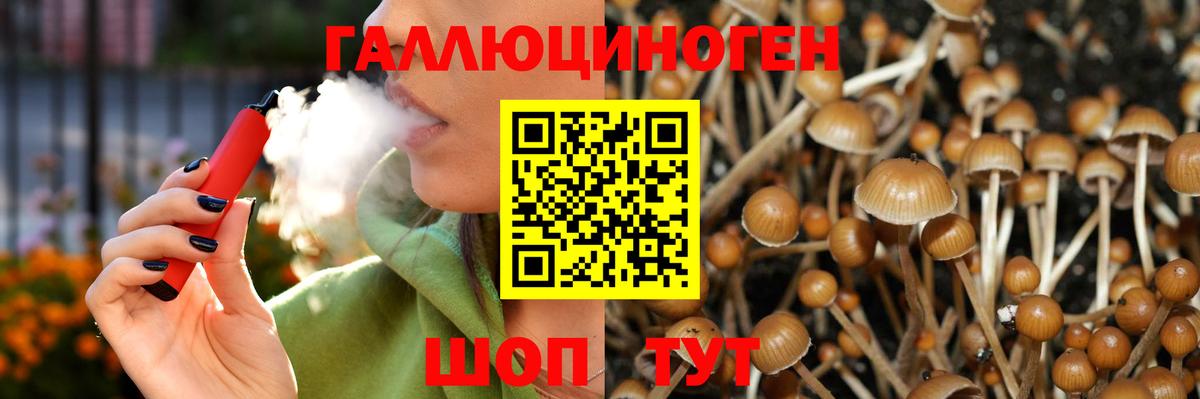 Кингисепп  Псилоцибиновые грибы мицелий  Псилоцибиновые грибы мицелий  Вход с VPN 