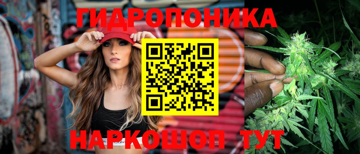 Шишки марихуана THC 21%  Канабис THC 21%  МАРИХУАНА White Widow  Шишки марихуана план  Вход с VPN  Кингисепп 